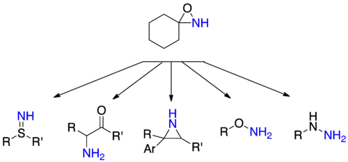 Selected amination reactions with oxaziridine