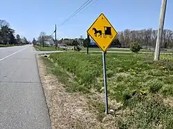 Amish horse and buggy warning sign, April 2018.
