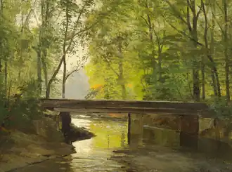 River running through a forest