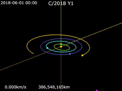 Animation of C/2018 Y1 orbit &nbsp;&nbsp; Mercury&nbsp;· &nbsp;&nbsp; Venus&nbsp;· &nbsp;&nbsp;Earth&nbsp;· &nbsp;&nbsp;Mars&nbsp;· &nbsp;&nbsp; C/2018 Y1