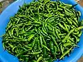 Another collection of chillies gathered in a tub