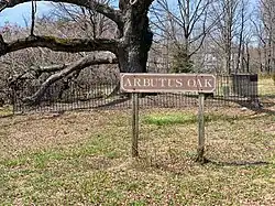 Arbutus Oak Sign