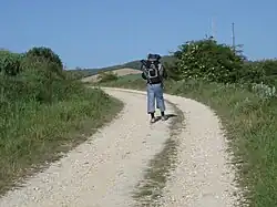 A pilgrim near San Juan de Ortega