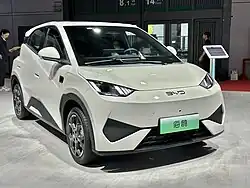 2025 ВYD Seagull facelift