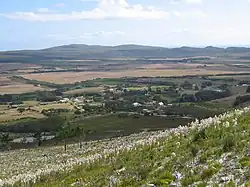 View of Baardskeerdersbos from a nearby hill.