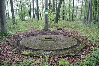 Last preserved Bachem Ba 349 Natter launch pad in the Hasenholz.