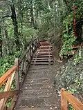 Trail along the slope of the falls at Huilo-Huilo