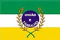 Flag of Paraúna