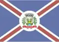 Flag of Bonito de Minas