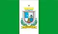 Flag of Capinzal do Norte