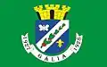 Flag of Gália
