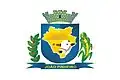 Flag of João Pinheiro