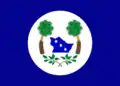 Flag of Tabuleiro do Norte, Ceará