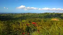 View from Palos Blancos