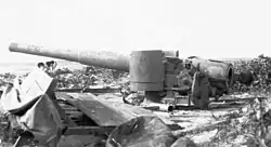 cannon in profile facing left with ocean in the background.