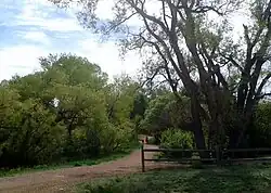 Bear Creek East - Trails