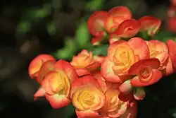 At the Gardens by the Bay, Singapore