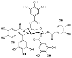 Chemical structure of pentagalloylglucose