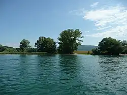 The Biber flows into the Rhine