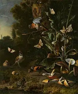 Birds, Butterflies and Frog with Plants and Fungi (1668), oil on canvas, 68.3 x 56.8&nbsp;cm., National Gallery