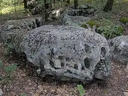 Blockfield along the Cedar Forest Trail