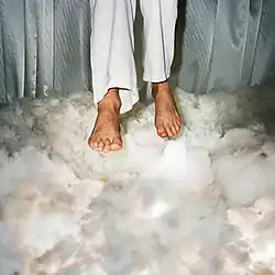 A person's legs hovering above white clouds.