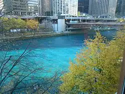 The river dyed blue during the Chicago Cubs' 2016 World Series celebration