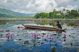 An owong at Lake Sebu