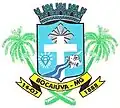 Coat of arms of Bocaiúva