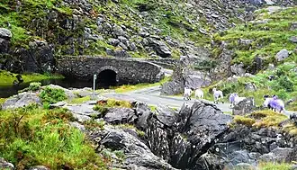 Looking northwards to the stone bridge before Black Lough