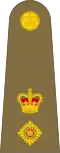British Army (United Kingdom) (Lieutenant Colonel)