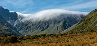 A mist covered peak in the background, yellow alpine grasses in the foreground