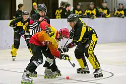 Inline hockey using a ball is governed by International Inline Skater Hockey Federation