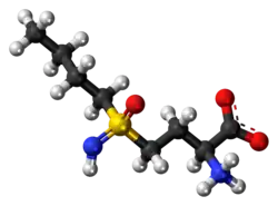 Ball-and-stick model of buthionine sulfoximine as a zwitterion