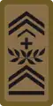 WO-3 - Master warrant officer