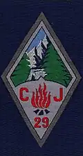 Insignia of CJF 29 - Team 8.