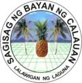 Official seal of Calauan