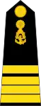 Lieutenant Commander