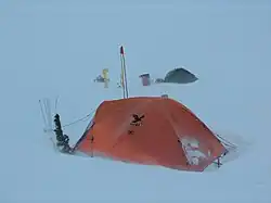 Livingston Island's Christmas tree