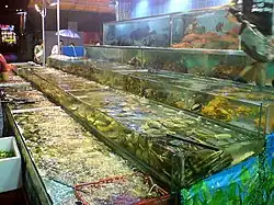 Tanks of seafood at a Cantonese restaurant