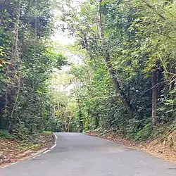 Northbound beginning in Unibón, Morovis, leaving PR-159 junction