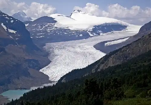 Castleguard and Saskatchewan Glacier seen from Parker Ridge