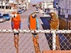 Composite artifact colors (from 320&nbsp;×&nbsp;200 palette 1)