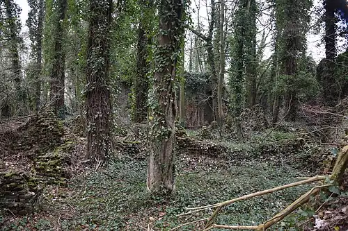 Ruins of the Château of Mariemont today, overgrown by vegetation and inaccessible for the public