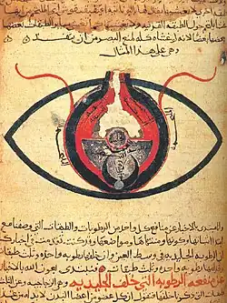 Image 32The eye according to Hunayn ibn Ishaq, c. 1200 (from Science in the medieval Islamic world)