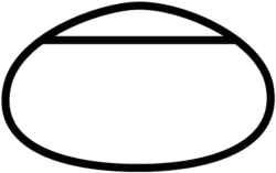 Chicagoland Speedway track layout