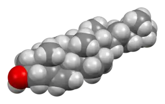 Space-filling model of cholesterol
