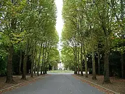 View of the central avenue