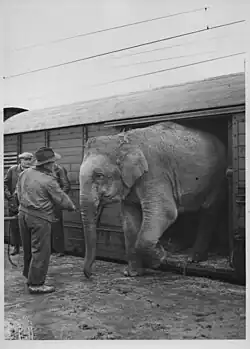 Unloading on Norra Station, Stockholm, 1945
