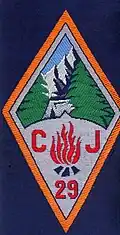 Insignia of CJF 29 - Team 5.